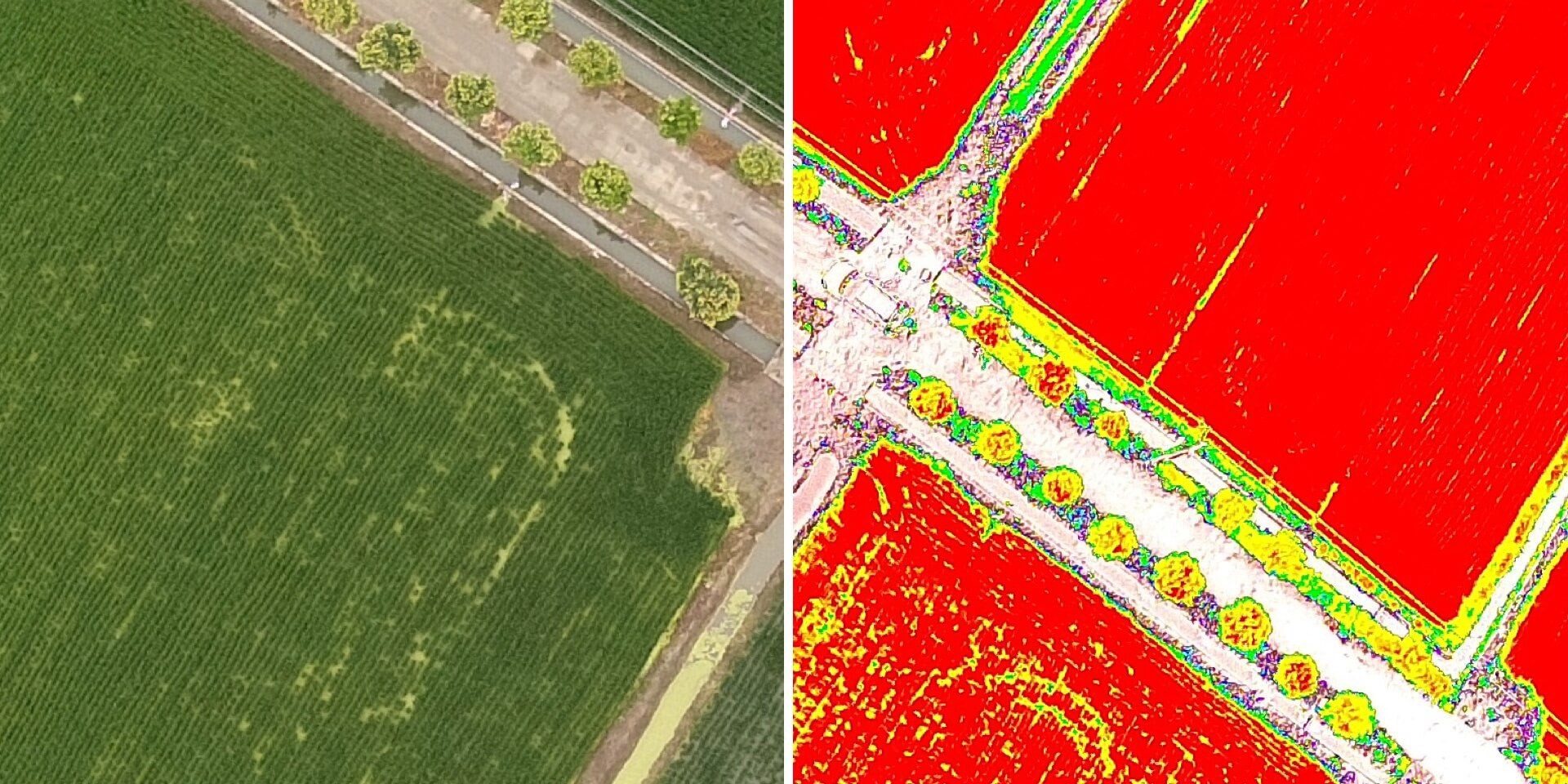 DroneDash aerial mapping and plantation analysis