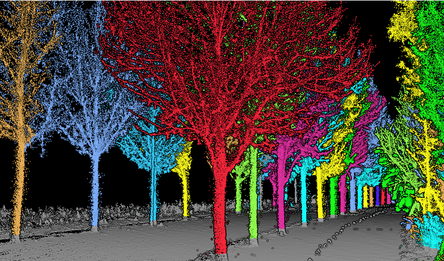 Colour-coded per-tree analysis view