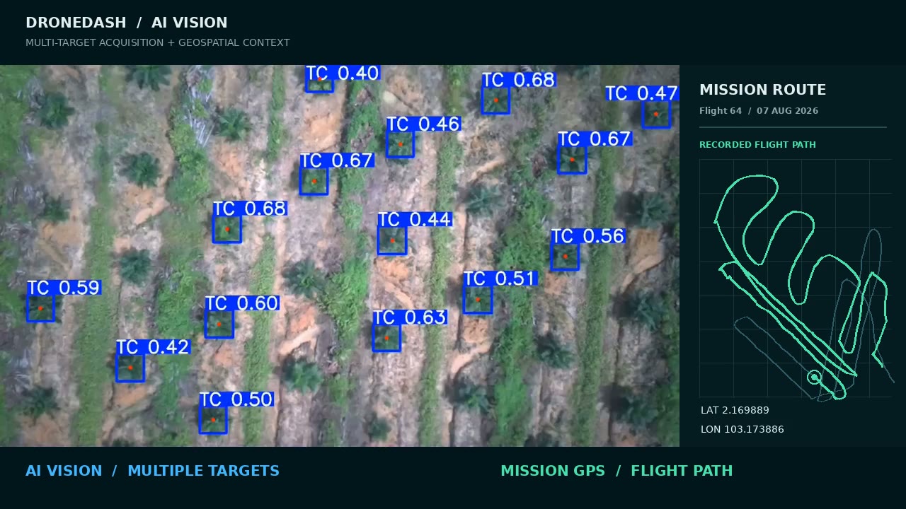 DroneDash AI vision detecting multiple palm targets beside the recorded mission flight path